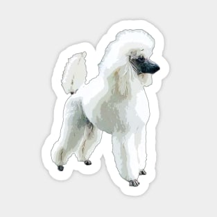 White Poodle Gorgeous Dog Sticker